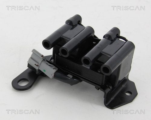 Ritė, uždegimas TRISCAN 8860 43043