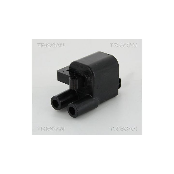 Ritė, uždegimas TRISCAN 8860 43045