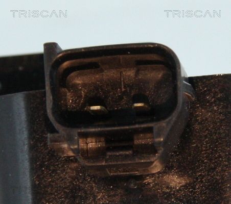 Ritė, uždegimas TRISCAN 8860 43046
