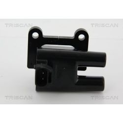 Ritė, uždegimas TRISCAN 8860 43047