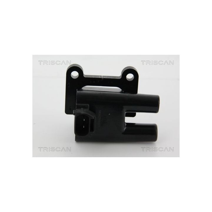 Ritė, uždegimas TRISCAN 8860 43047