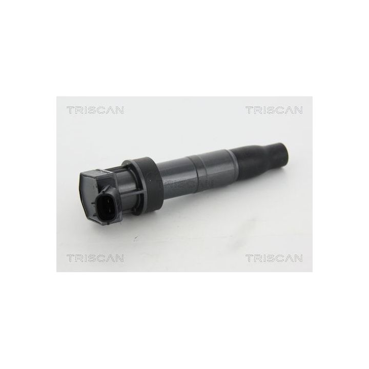 Ritė, uždegimas TRISCAN 8860 43048