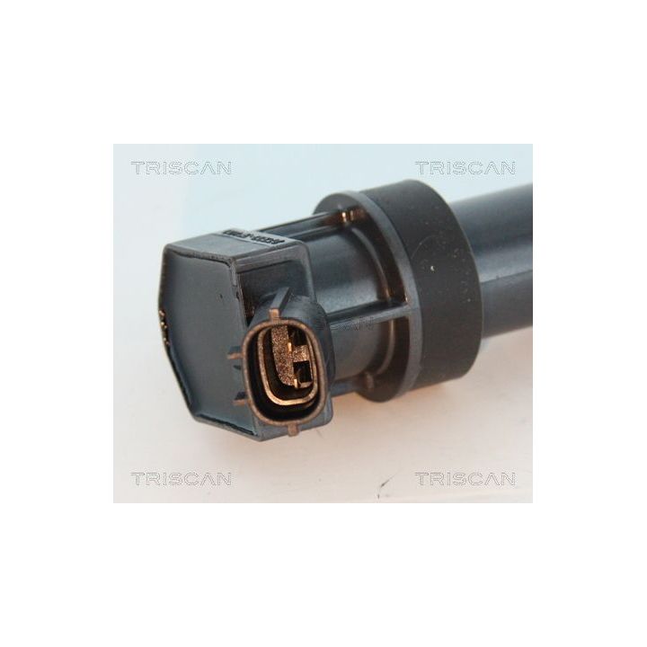 Ritė, uždegimas TRISCAN 8860 43048