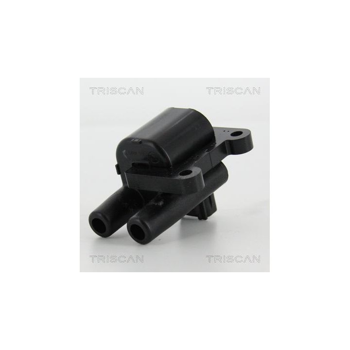 Ritė, uždegimas TRISCAN 8860 43051