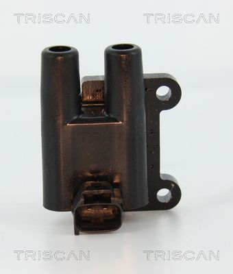 Ritė, uždegimas TRISCAN 8860 43051