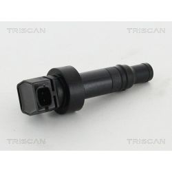 Ritė, uždegimas TRISCAN 8860 43052