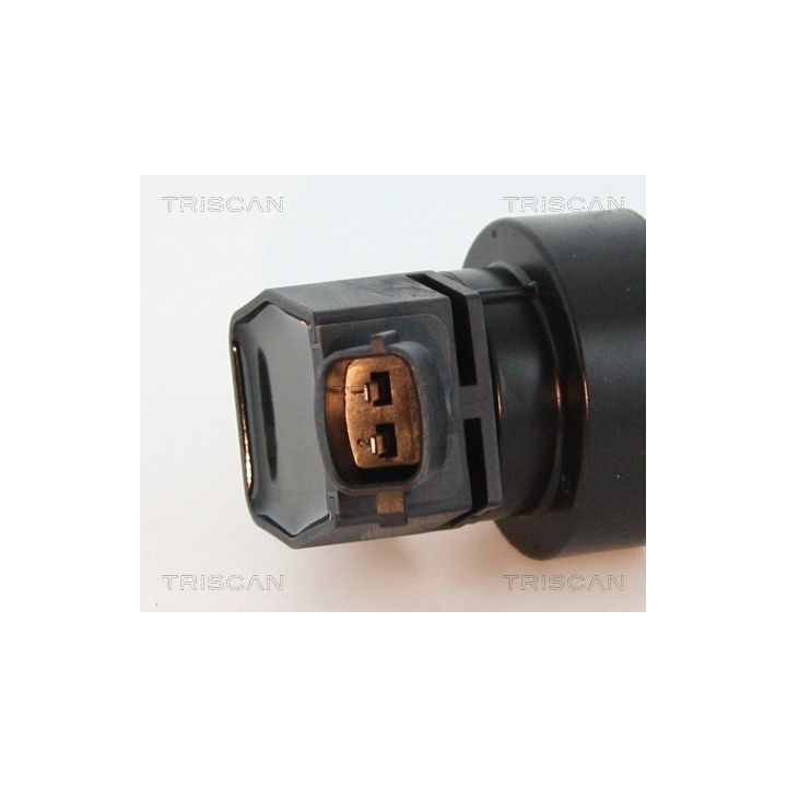 Ritė, uždegimas TRISCAN 8860 43052