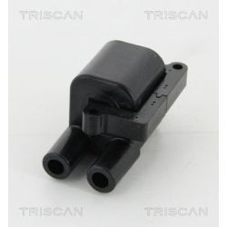 Ritė, uždegimas TRISCAN 8860 43053