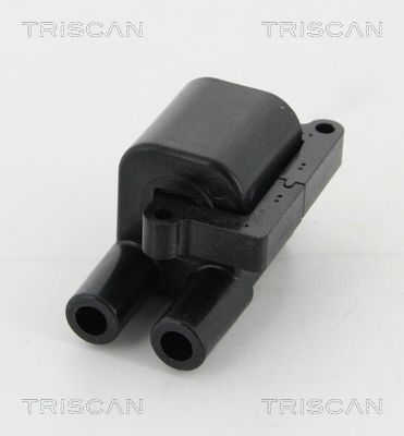 Ritė, uždegimas TRISCAN 8860 43053