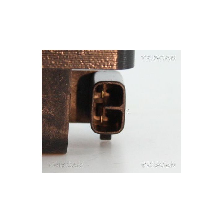 Ritė, uždegimas TRISCAN 8860 43053