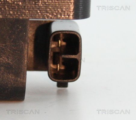Ritė, uždegimas TRISCAN 8860 43053