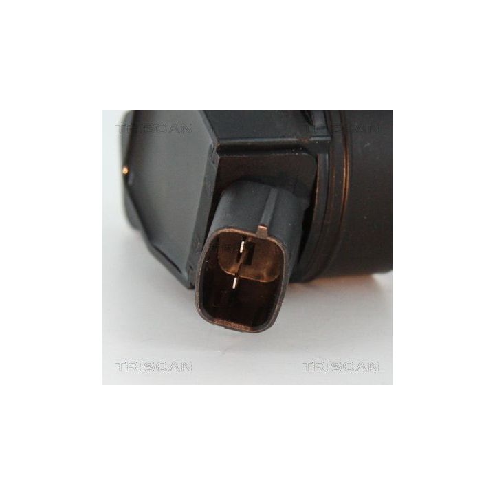 Ritė, uždegimas TRISCAN 8860 43056