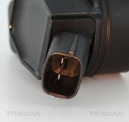 Ritė, uždegimas TRISCAN 8860 43056