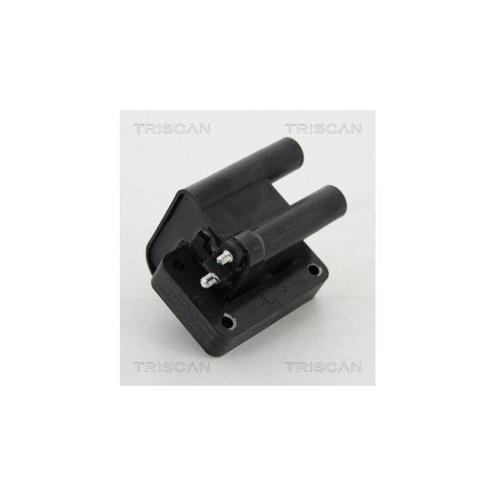 Ritė, uždegimas TRISCAN 8860 43057