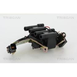 Ritė, uždegimas TRISCAN 8860 43058