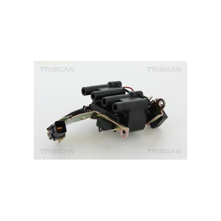 Ritė, uždegimas TRISCAN 8860 43058