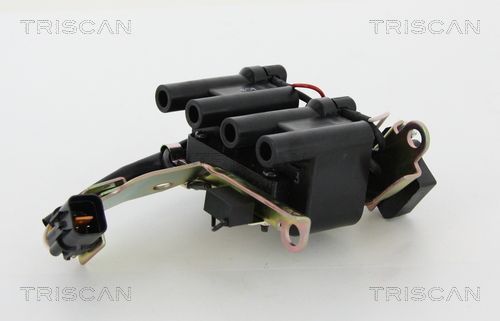 Ritė, uždegimas TRISCAN 8860 43058