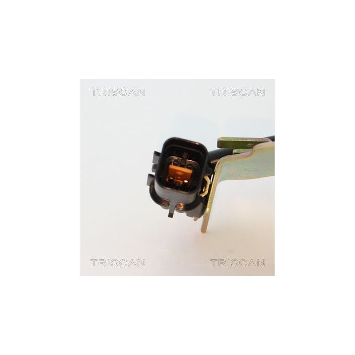 Ritė, uždegimas TRISCAN 8860 43058