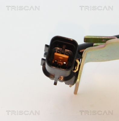 Ritė, uždegimas TRISCAN 8860 43058