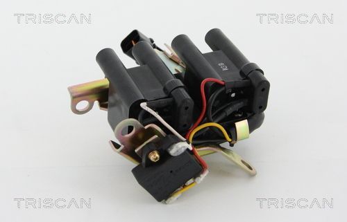 Ritė, uždegimas TRISCAN 8860 43058