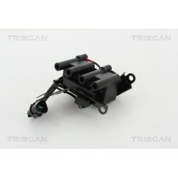 Ritė, uždegimas TRISCAN 8860 43059