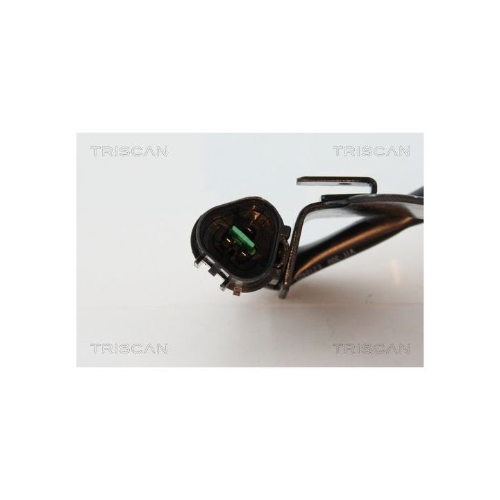 Ritė, uždegimas TRISCAN 8860 43059