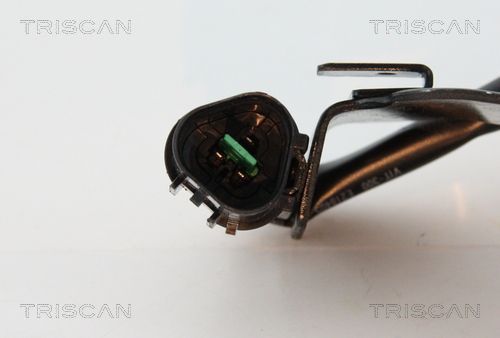 Ritė, uždegimas TRISCAN 8860 43059