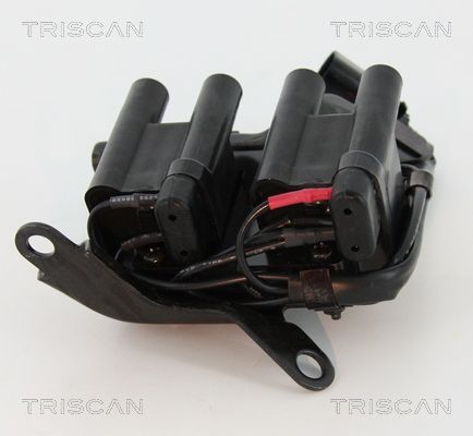 Ritė, uždegimas TRISCAN 8860 43059