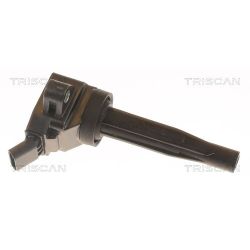 Ritė, uždegimas TRISCAN 8860 43061