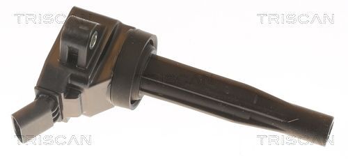 Ritė, uždegimas TRISCAN 8860 43061