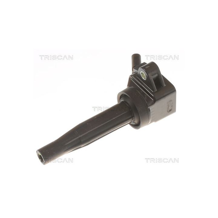 Ritė, uždegimas TRISCAN 8860 43061