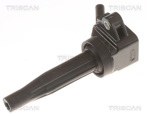 Ritė, uždegimas TRISCAN 8860 43061