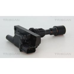 Ritė, uždegimas TRISCAN 8860 50010