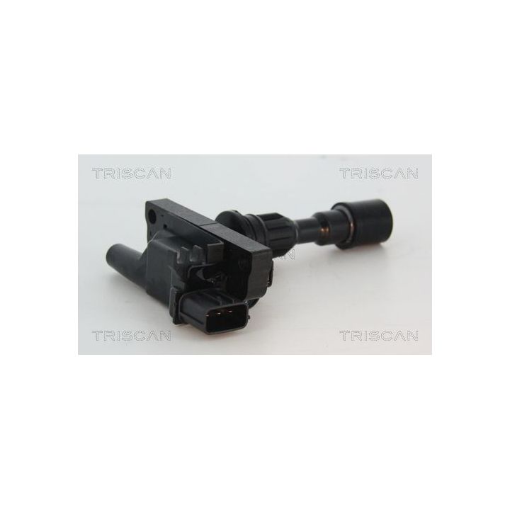 Ritė, uždegimas TRISCAN 8860 50010