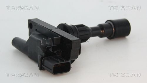 Ritė, uždegimas TRISCAN 8860 50010