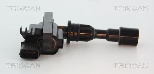 Ritė, uždegimas TRISCAN 8860 50010