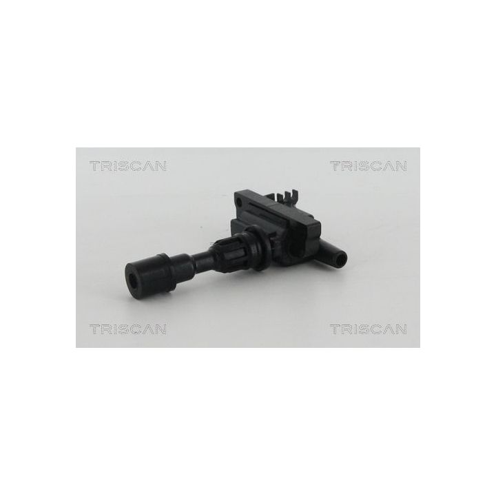 Ritė, uždegimas TRISCAN 8860 50010