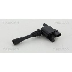 Ritė, uždegimas TRISCAN 8860 50012