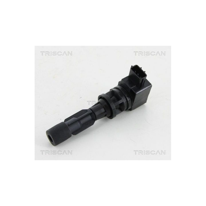 Ritė, uždegimas TRISCAN 8860 50013