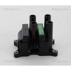 Ritė, uždegimas TRISCAN 8860 50017