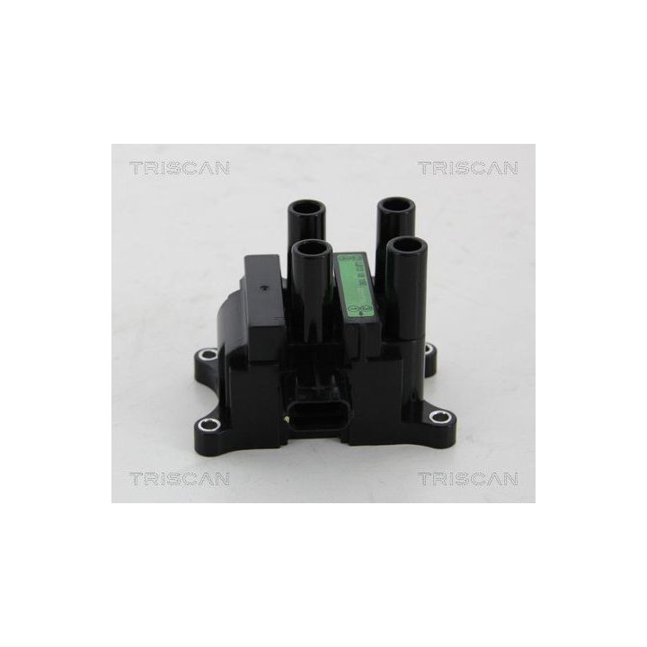 Ritė, uždegimas TRISCAN 8860 50017