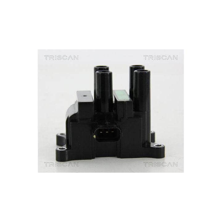 Ritė, uždegimas TRISCAN 8860 50017