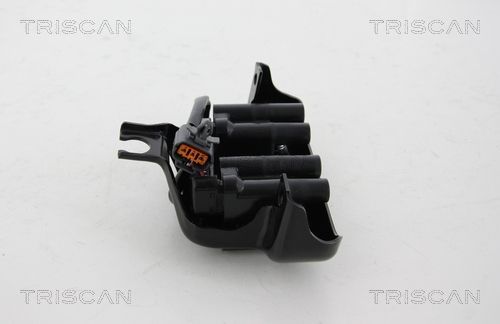 Ritė, uždegimas TRISCAN 8860 50018