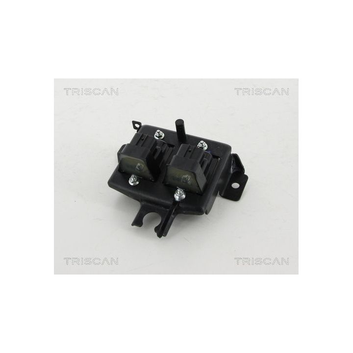 Ritė, uždegimas TRISCAN 8860 50019