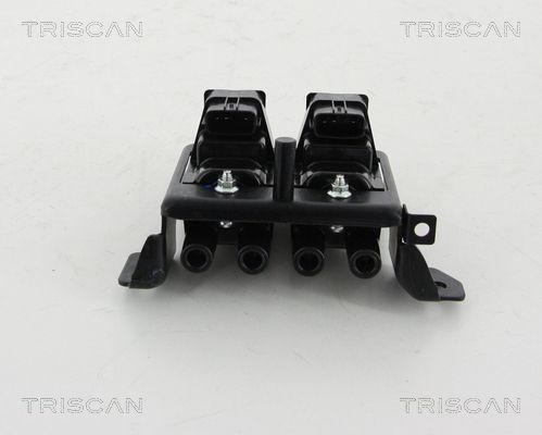 Ritė, uždegimas TRISCAN 8860 50019