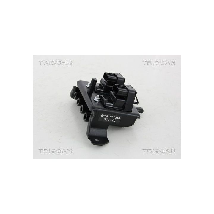 Ritė, uždegimas TRISCAN 8860 50020