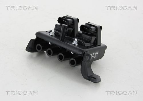 Ritė, uždegimas TRISCAN 8860 50020