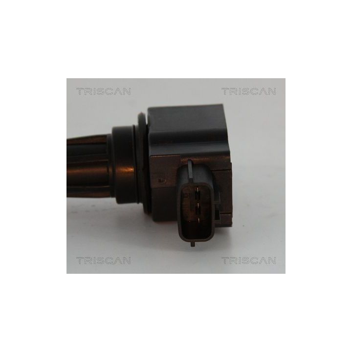 Ritė, uždegimas TRISCAN 8860 50021
