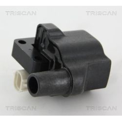 Ritė, uždegimas TRISCAN 8860 50022