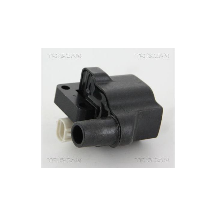 Ritė, uždegimas TRISCAN 8860 50022